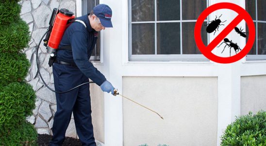 Karapürçek Böcek İlaçlama böcek ilaçlama ve haşere kontrolü — ilaclama-tr.com